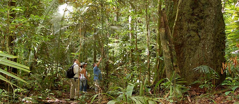 Amazonas-Urwald - Eindrücke, die Sie nie wieder vergessen werden