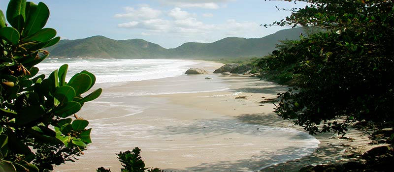 Costa Verde - Hier treffen sich Regenwald und Traumstrand
