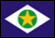 Bundesflagge von Mato Grosso do Sul 